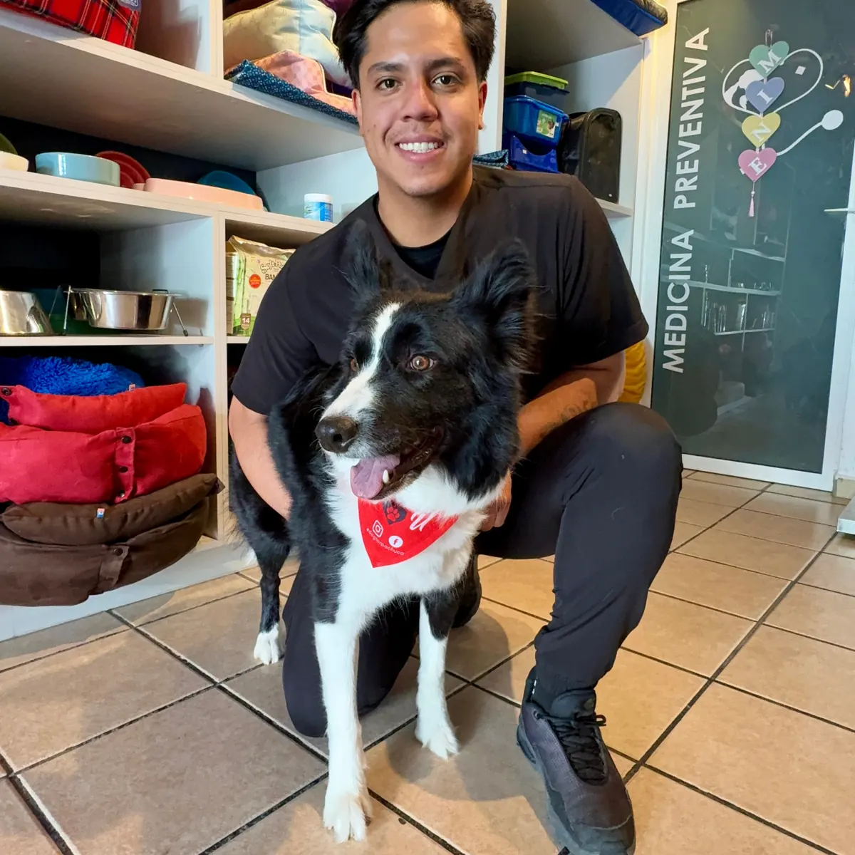 Border collie con su veterinario