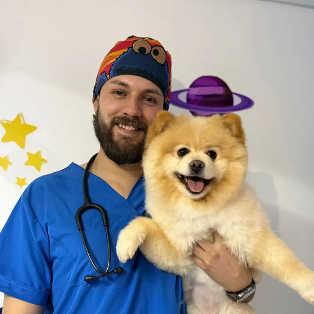 Veterinario sonriendo con un pomerania