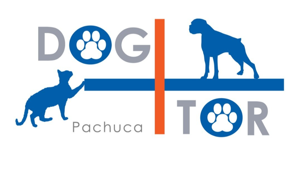 Logo original de Dogtor