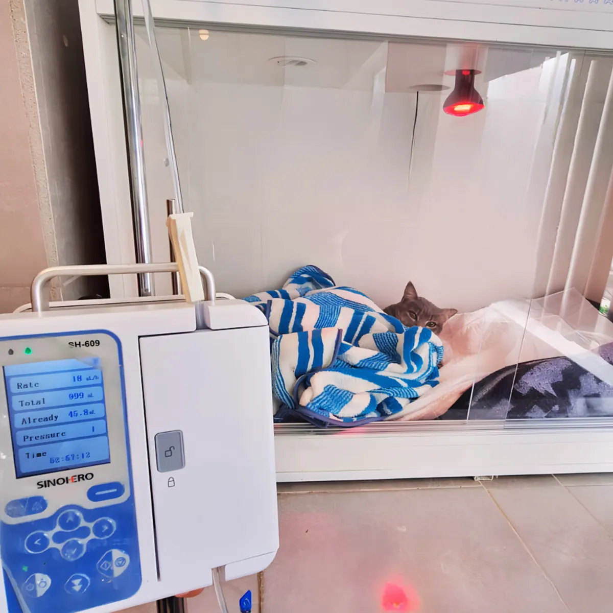 Paciente hospitalizado con bomba de infusión