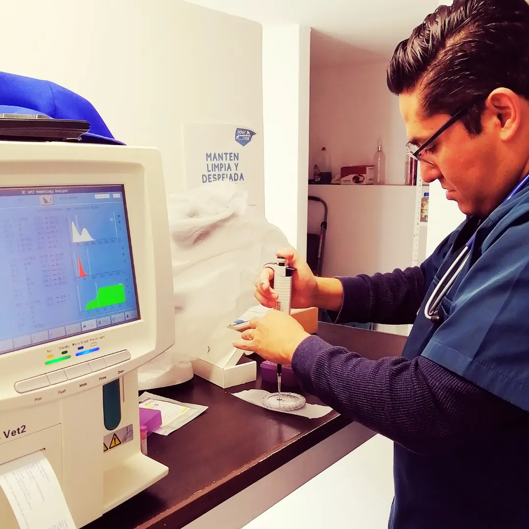Médico procesando muestras en el laboratorio