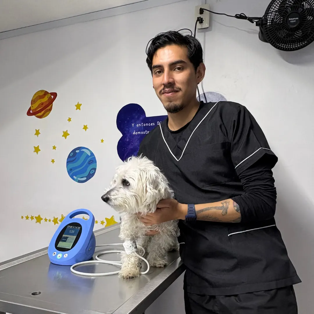 Veterinario con un perro pequeño